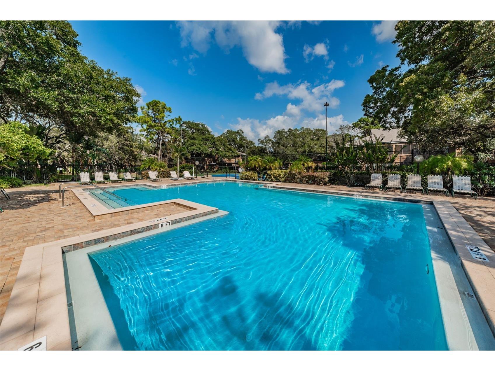 802 Lennox Road W #802 Palm Harbor FL 34683 TB8479050 image37