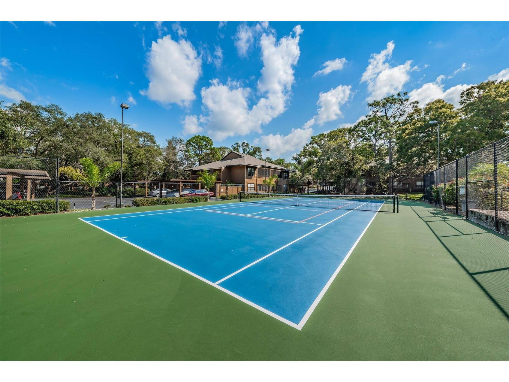 802 Lennox Road W #802 Palm Harbor FL 34683 TB8479050 image39