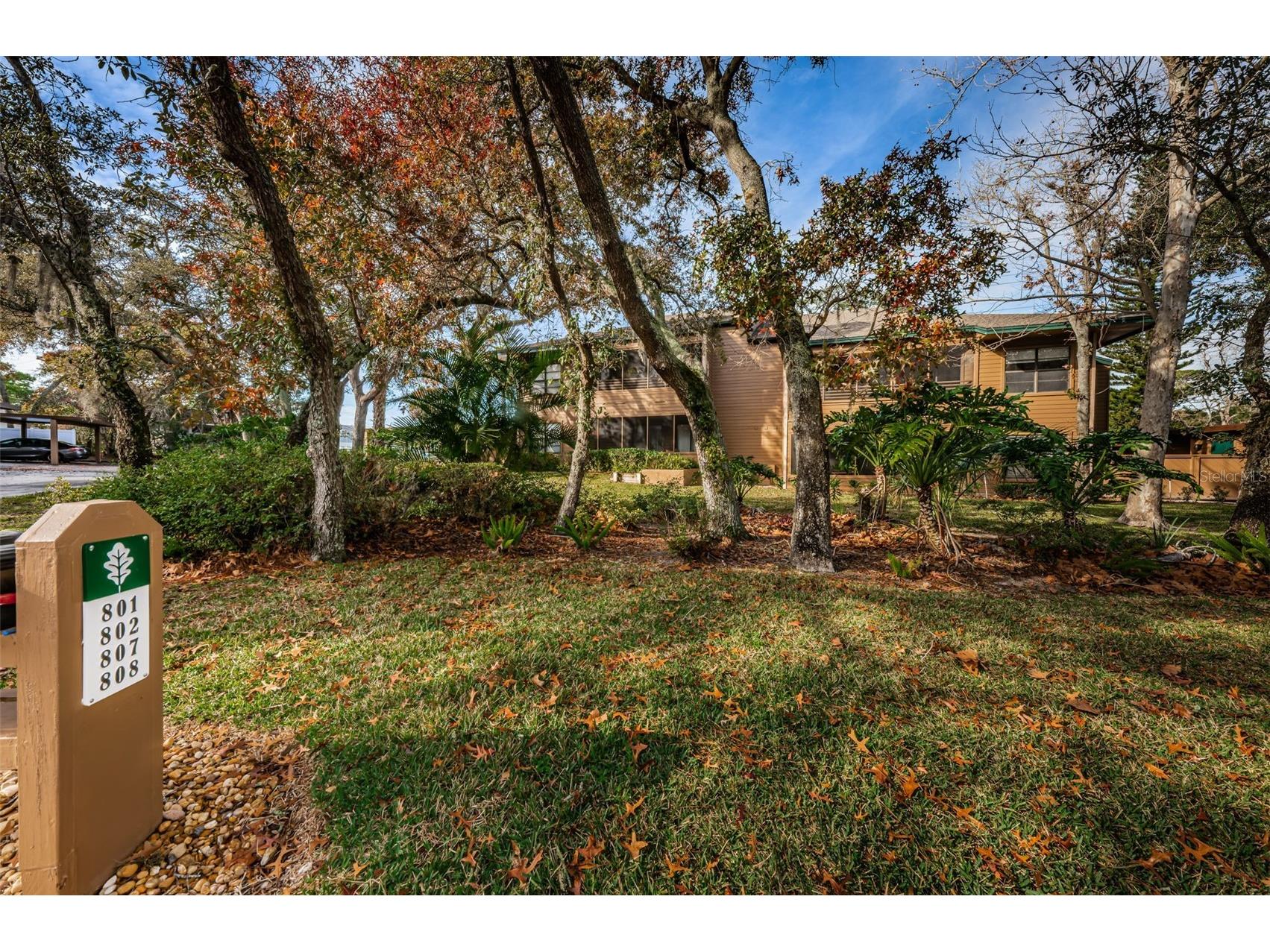 802 Lennox Road W #802 Palm Harbor FL 34683 TB8479050 image42