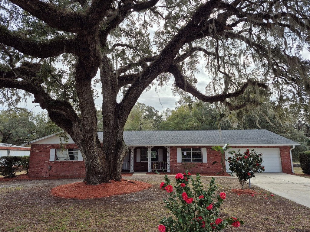 802 Peters Street Wildwood FL 34785 S5118074 image1