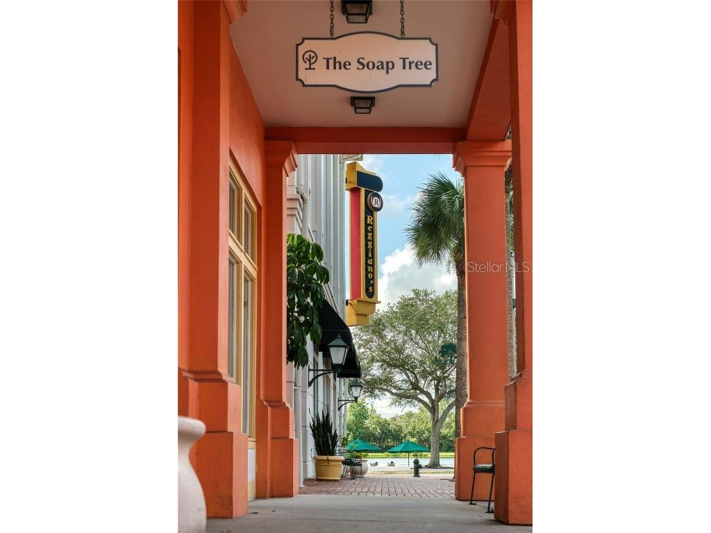 802 Rosa Street Celebration FL 34747 S5134734 image37