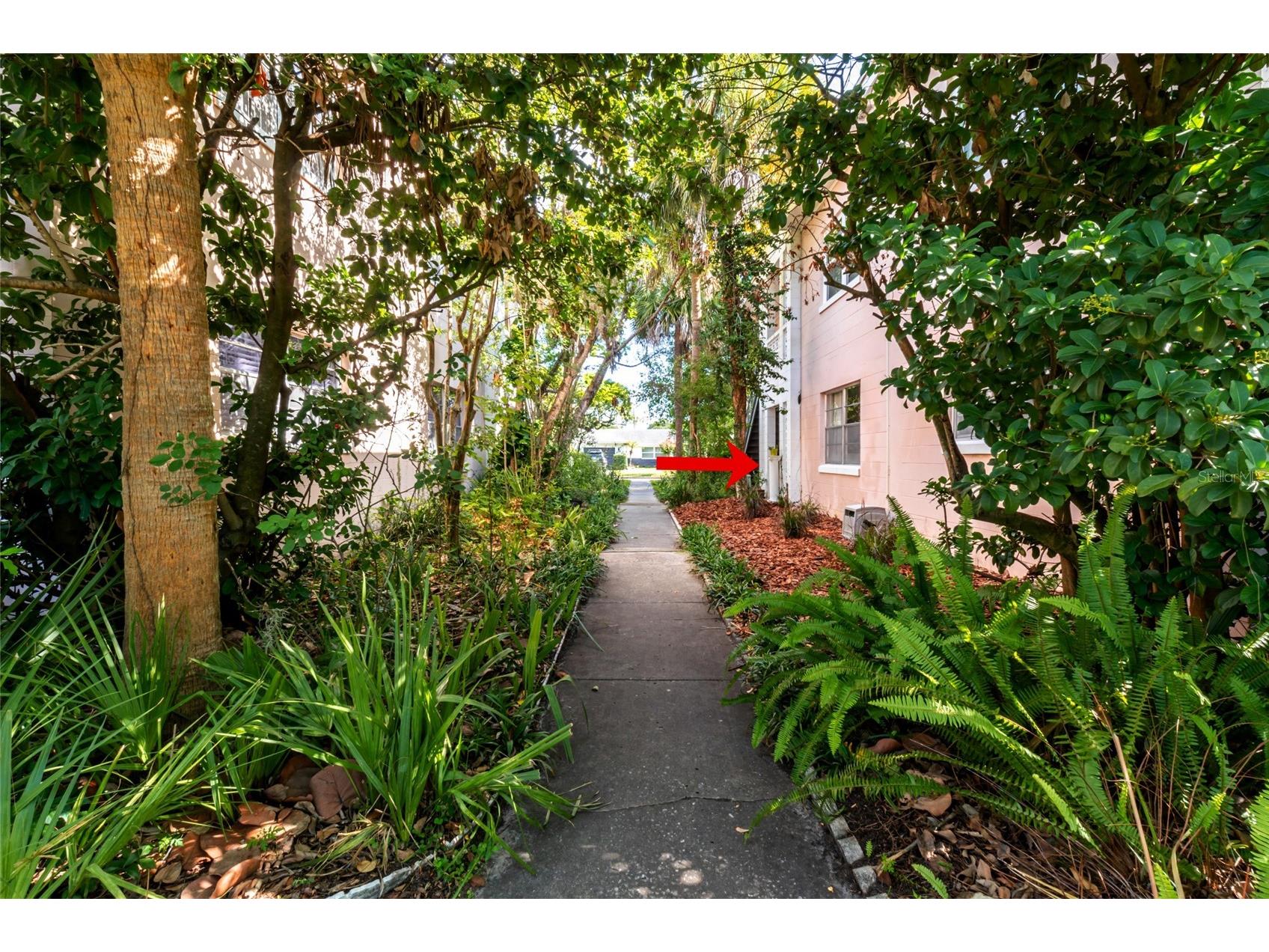 802 Rugby Street #B Orlando FL 32804 O6415554 image3