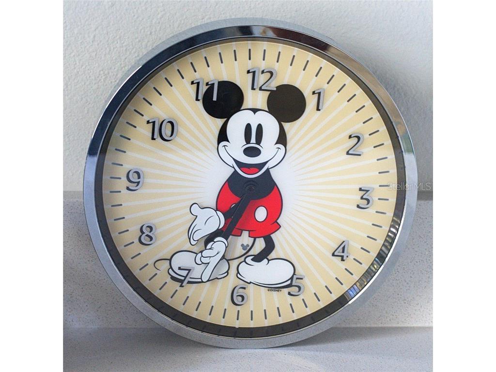 802 Runner Oak Street Celebration FL 34747 O6294184 image10