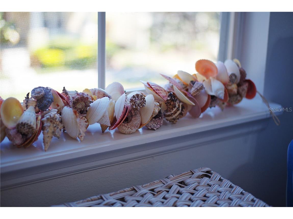 802 Runner Oak Street Celebration FL 34747 O6294184 image35