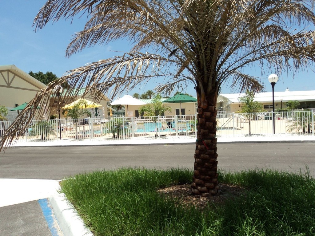 802 S Green Circle Venice FL 34285 N6140854 image23