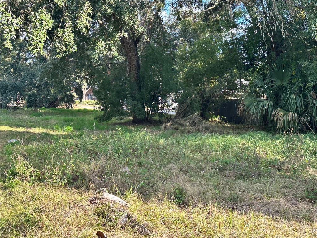 802 S Ivey Lane Orlando FL 32811 O6309129 image7