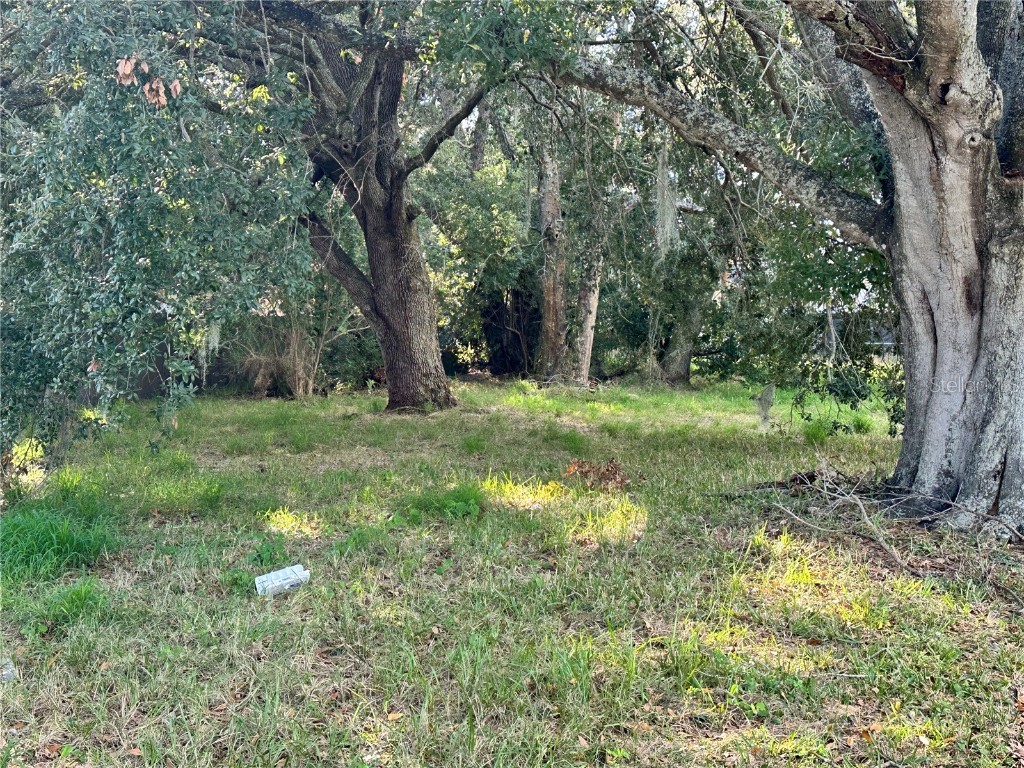 802 S Ivey Lane Orlando FL 32811 O6309129 image8