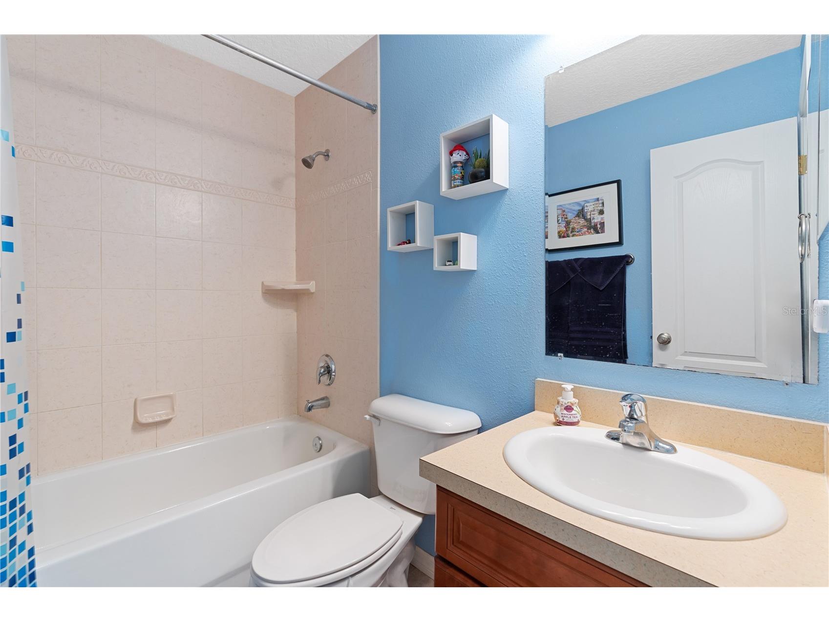 802 Smith Bay Drive Brandon FL 33510 TB8510037 image25