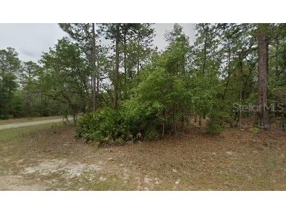 802 W Hemlock Drive Citrus Springs FL 34434 S5103406 image1