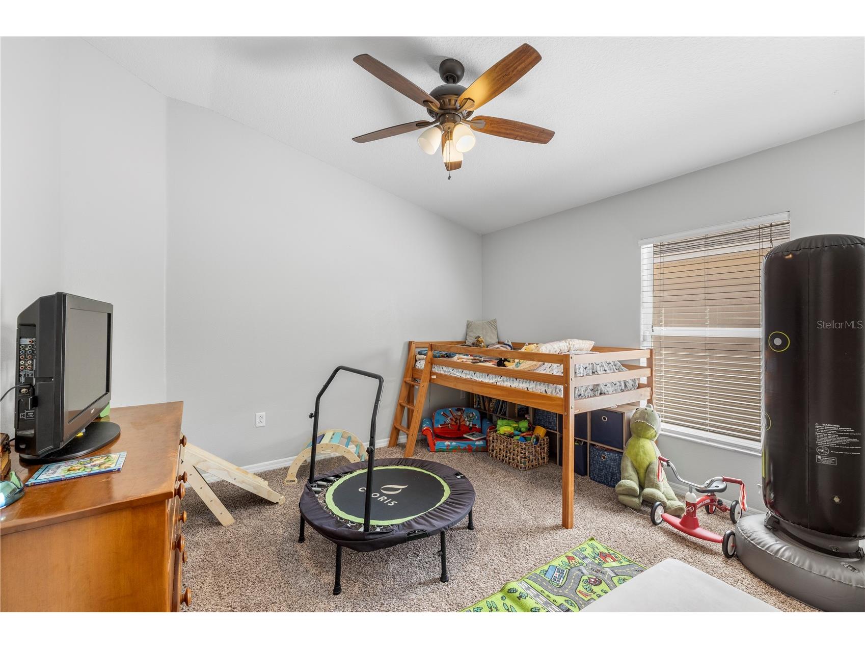 8020 Alamosa Wood Avenue Ruskin FL 33573 TB8502188 image3