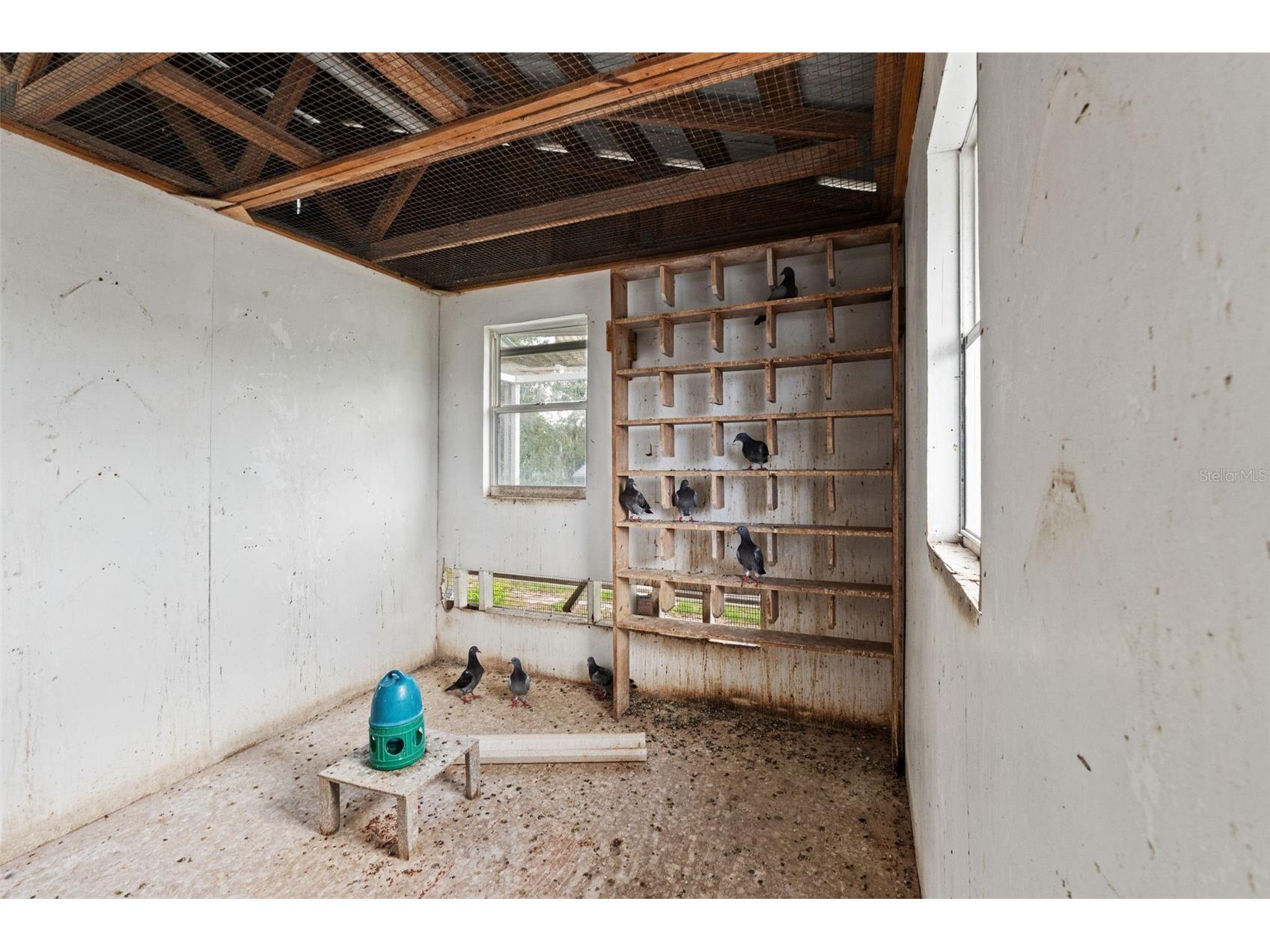 8020 Grant Street Brooksville FL 34613 W7887107 image47