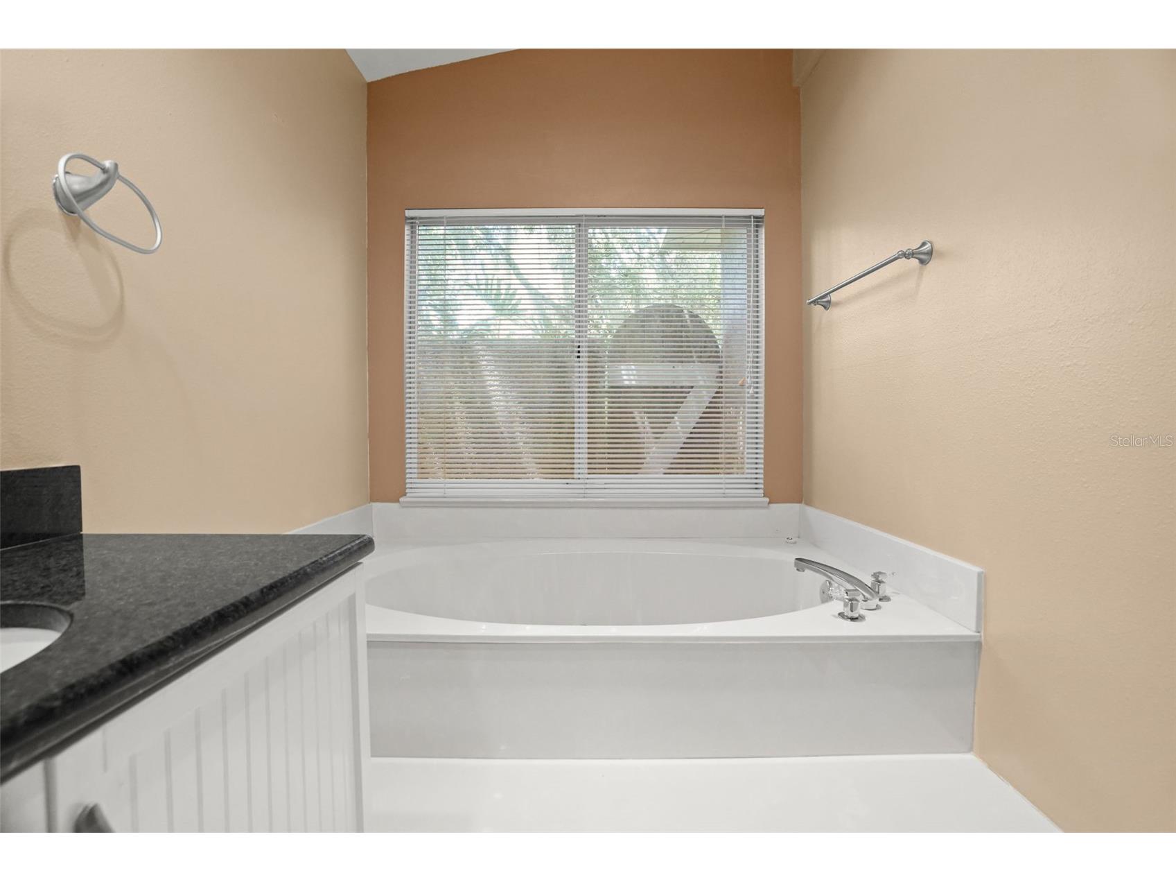 8020 Moonlight Lane New Port Richey FL 34654 W7886358 image11