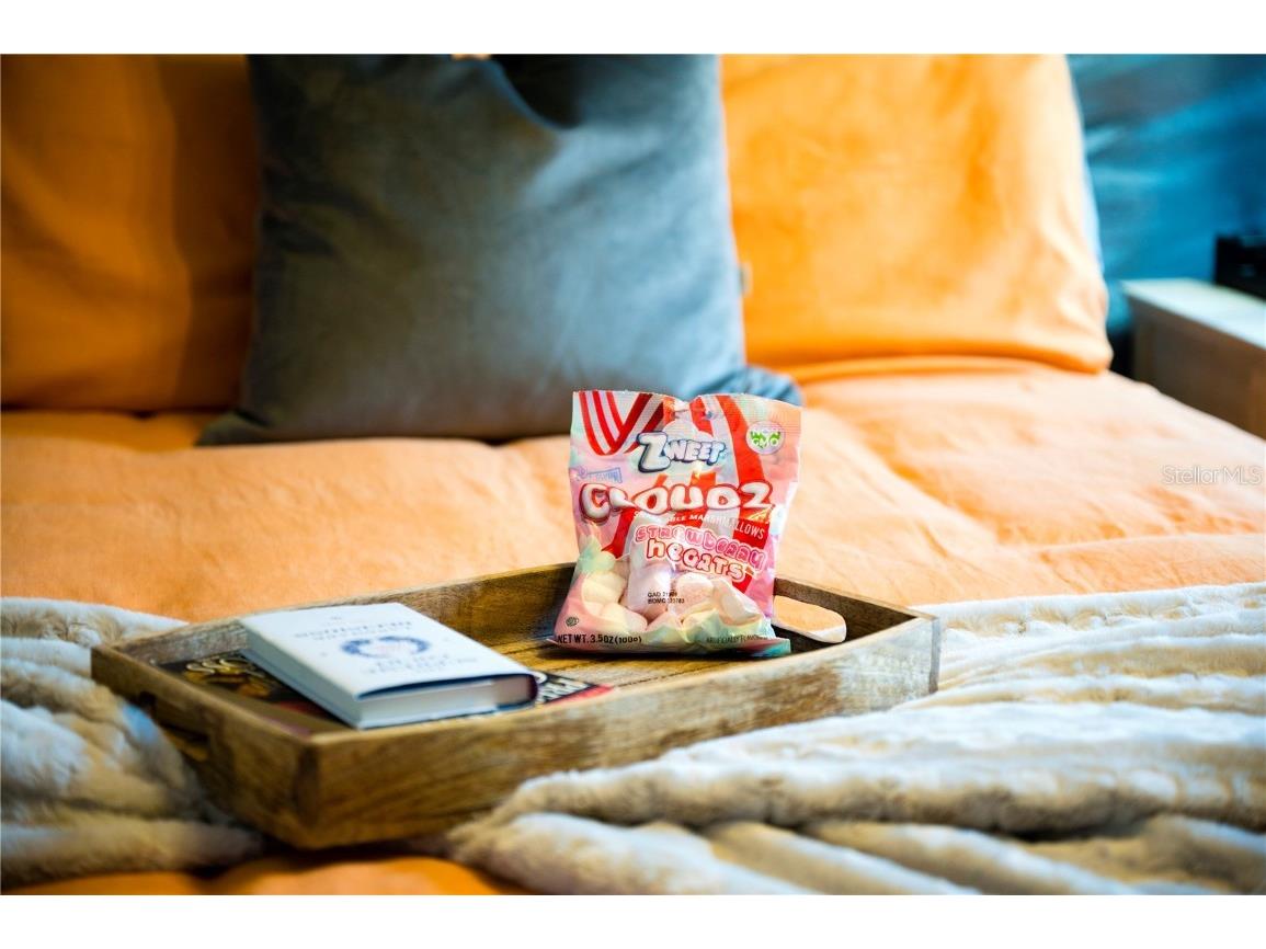 8020 Oak Shadow Court Davenport FL 33837 O6324182 image47