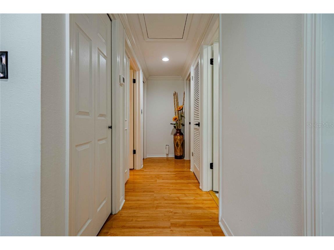 8020 Sharon Drive Tampa FL 33617 TB8437958 image25