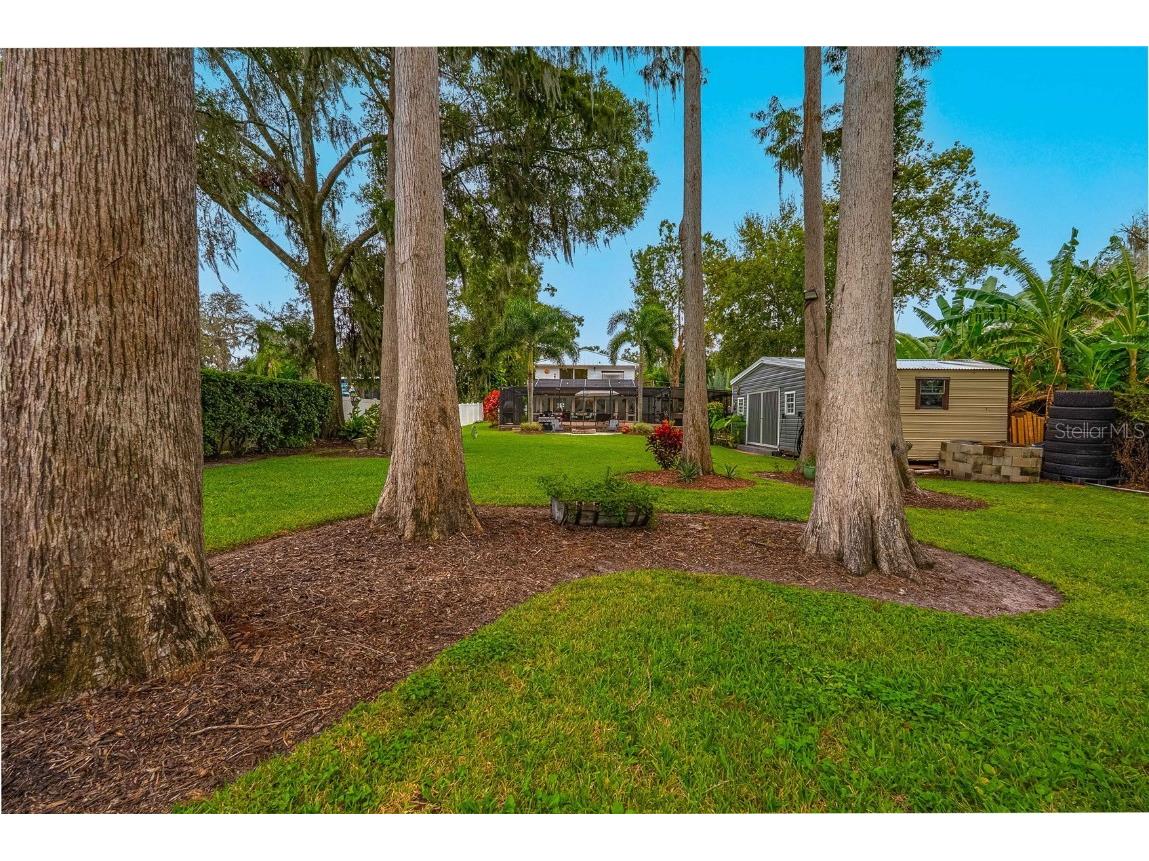 8020 Sharon Drive Tampa FL 33617 TB8437958 image69