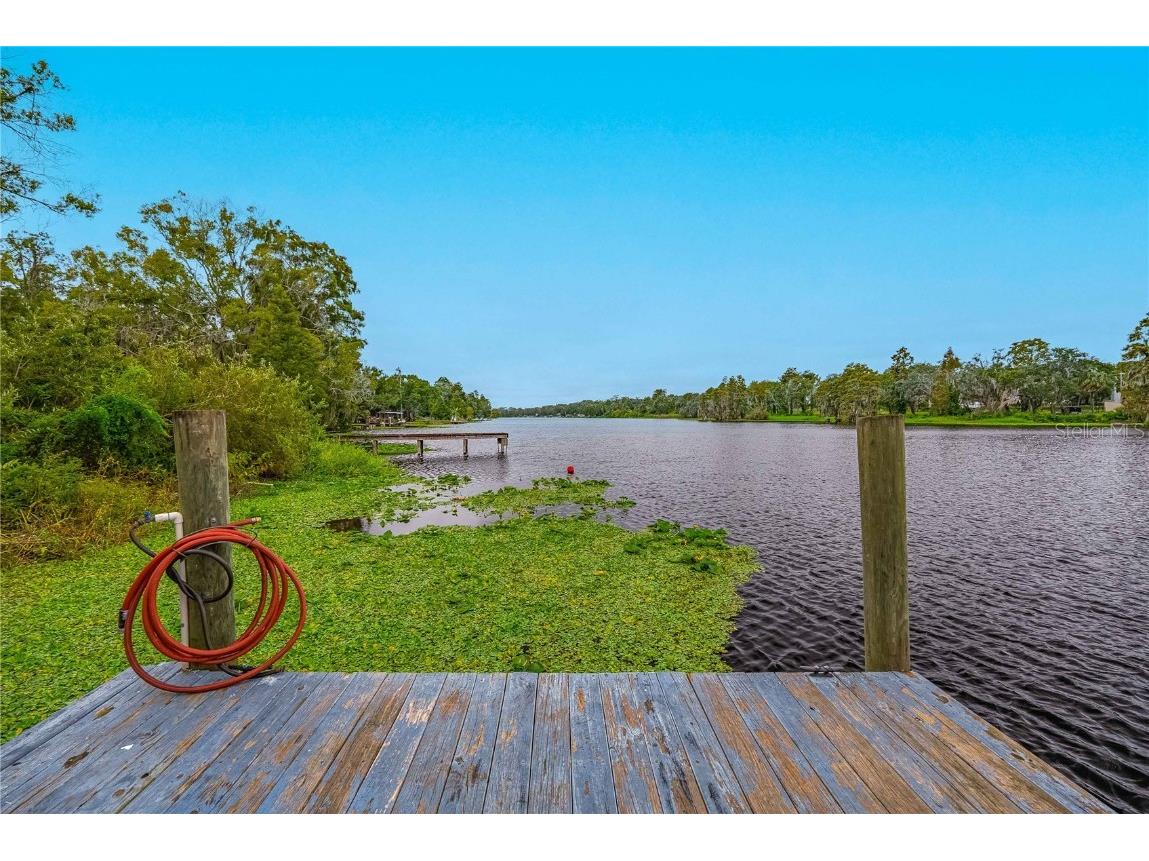 8020 Sharon Drive Tampa FL 33617 TB8437958 image76