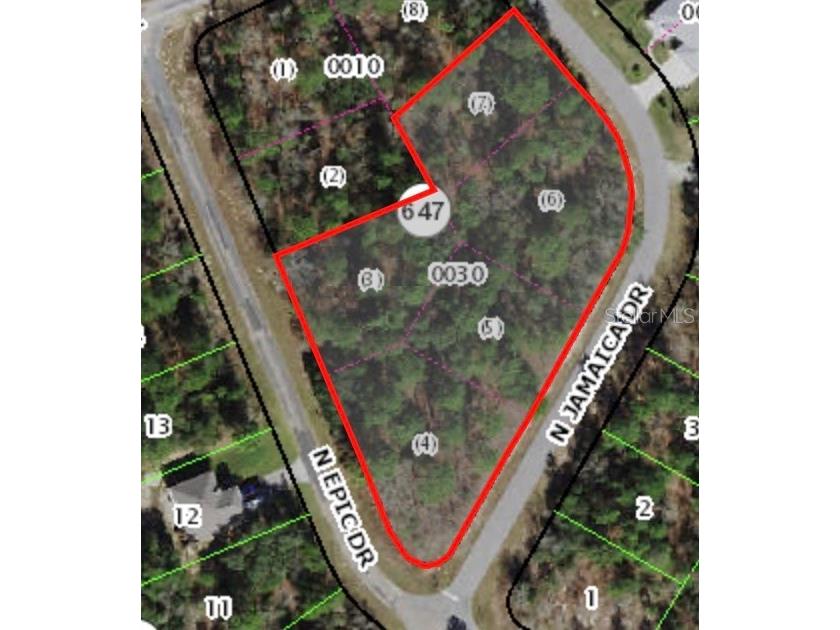 8021 N Epic Drive Citrus Springs FL 34433 A4578248 image1