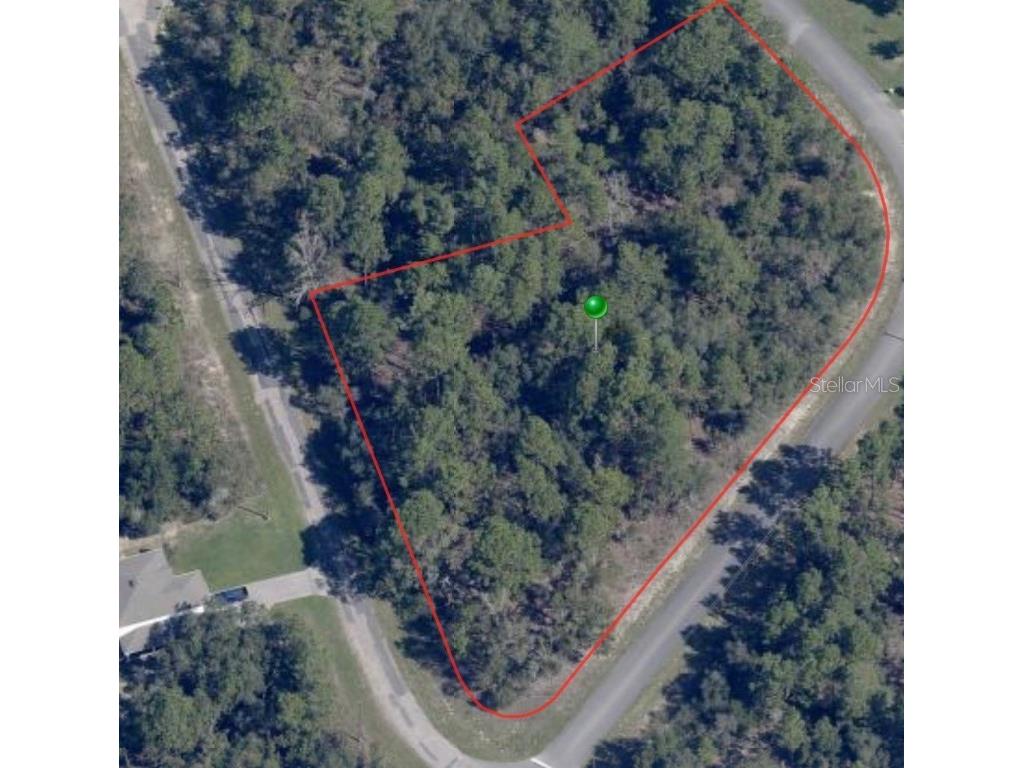 8021 N Epic Drive Citrus Springs FL 34433 A4578248 image2