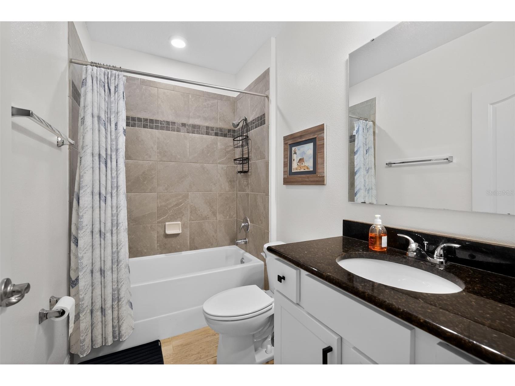 8021 Olive Brook Drive Wesley Chapel FL 33545 O6410642 image21