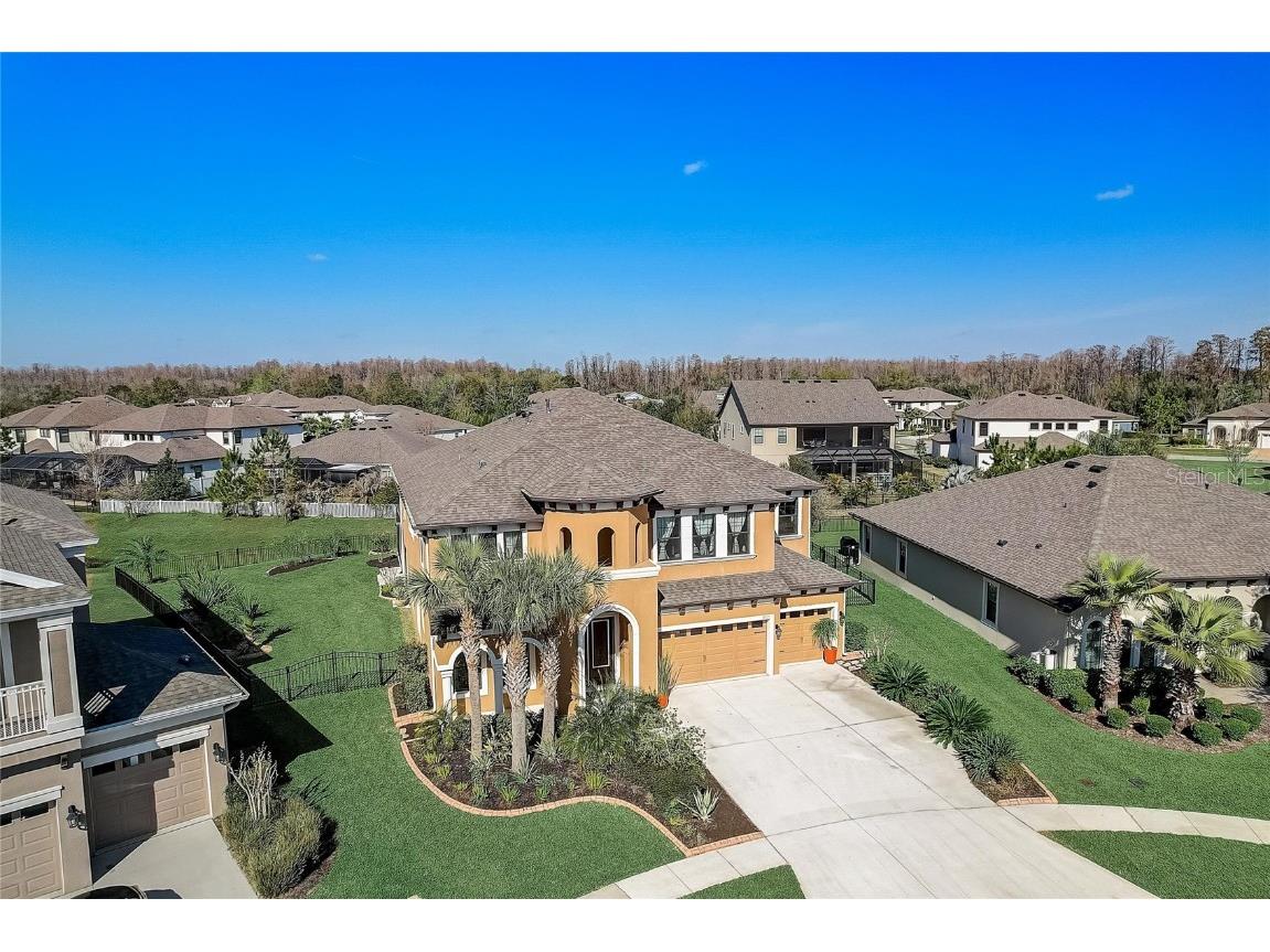 8021 Rock Spring Court Land O Lakes FL 34638 T3426192 image1