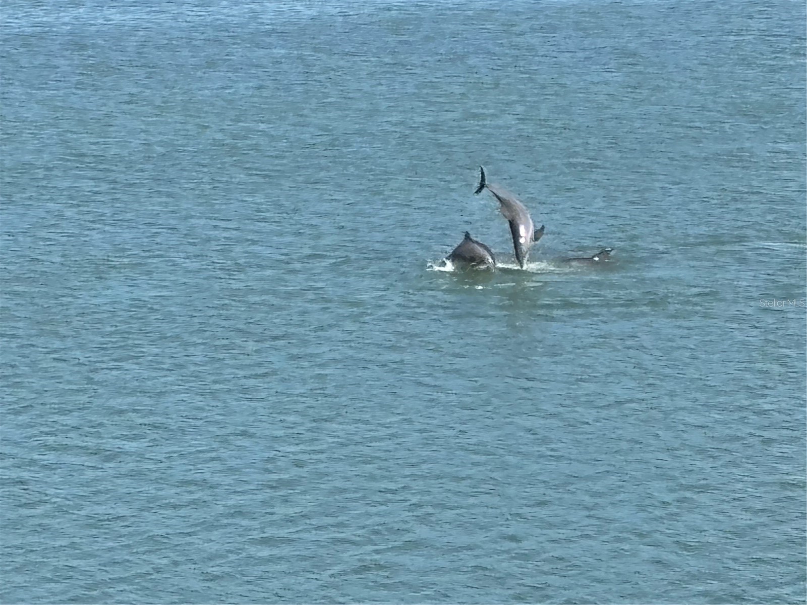 8021 Sailboat Key Boulevard S #302 Saint Pete Beach FL 33707 - BOCA CIEGA BAY TB8501403 image49