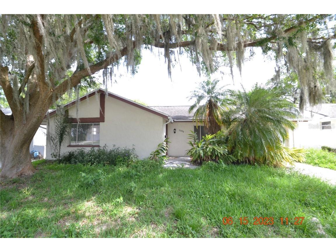 8023 Wet Rock Row Hudson FL 34667 T3453944 image1