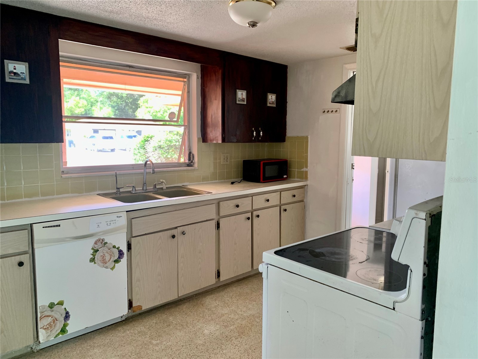 8024 Jasmine Boulevard Port Richey FL 34668 W7886803 image20