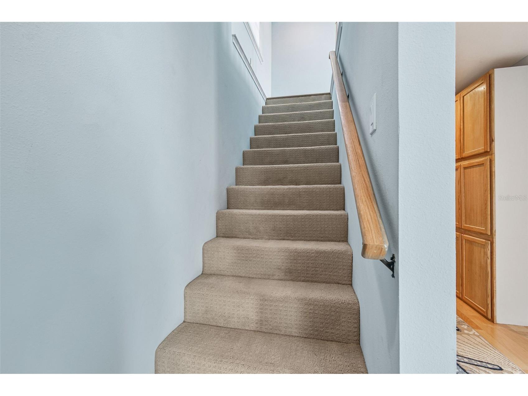 8025 Island Drive Port Richey FL 34668 TB8450061 image51