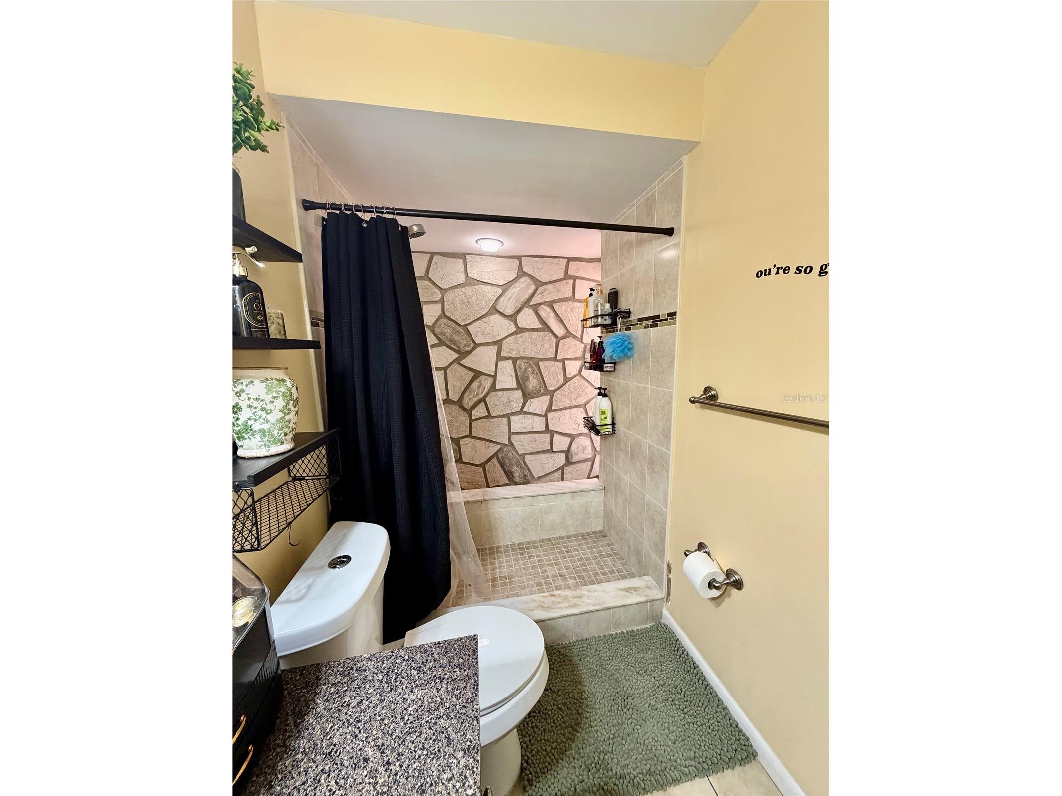 8026 Jackson Springs Road Tampa FL 33615 TB8472874 image18