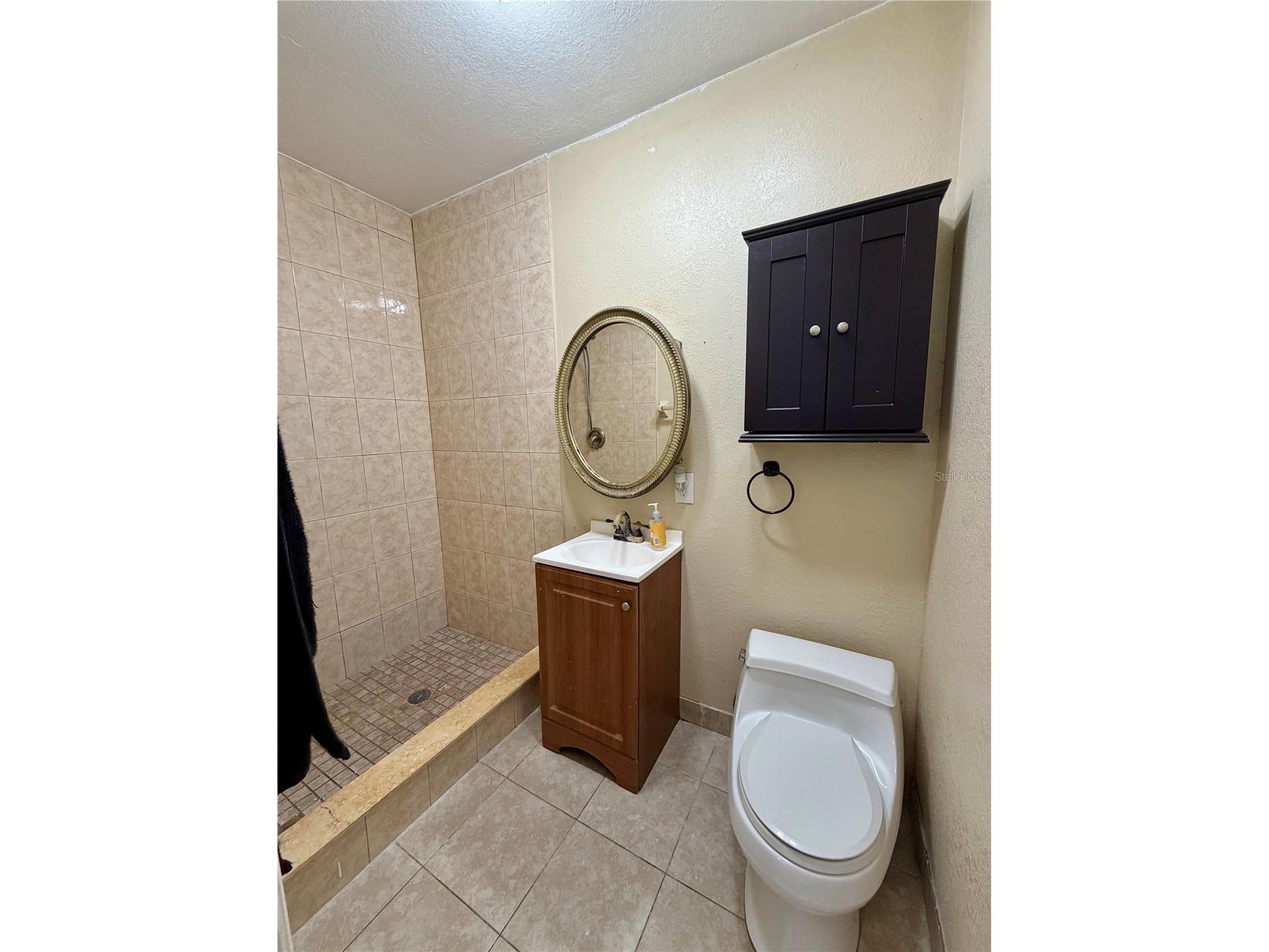 8026 Jackson Springs Road Tampa FL 33615 TB8472874 image32