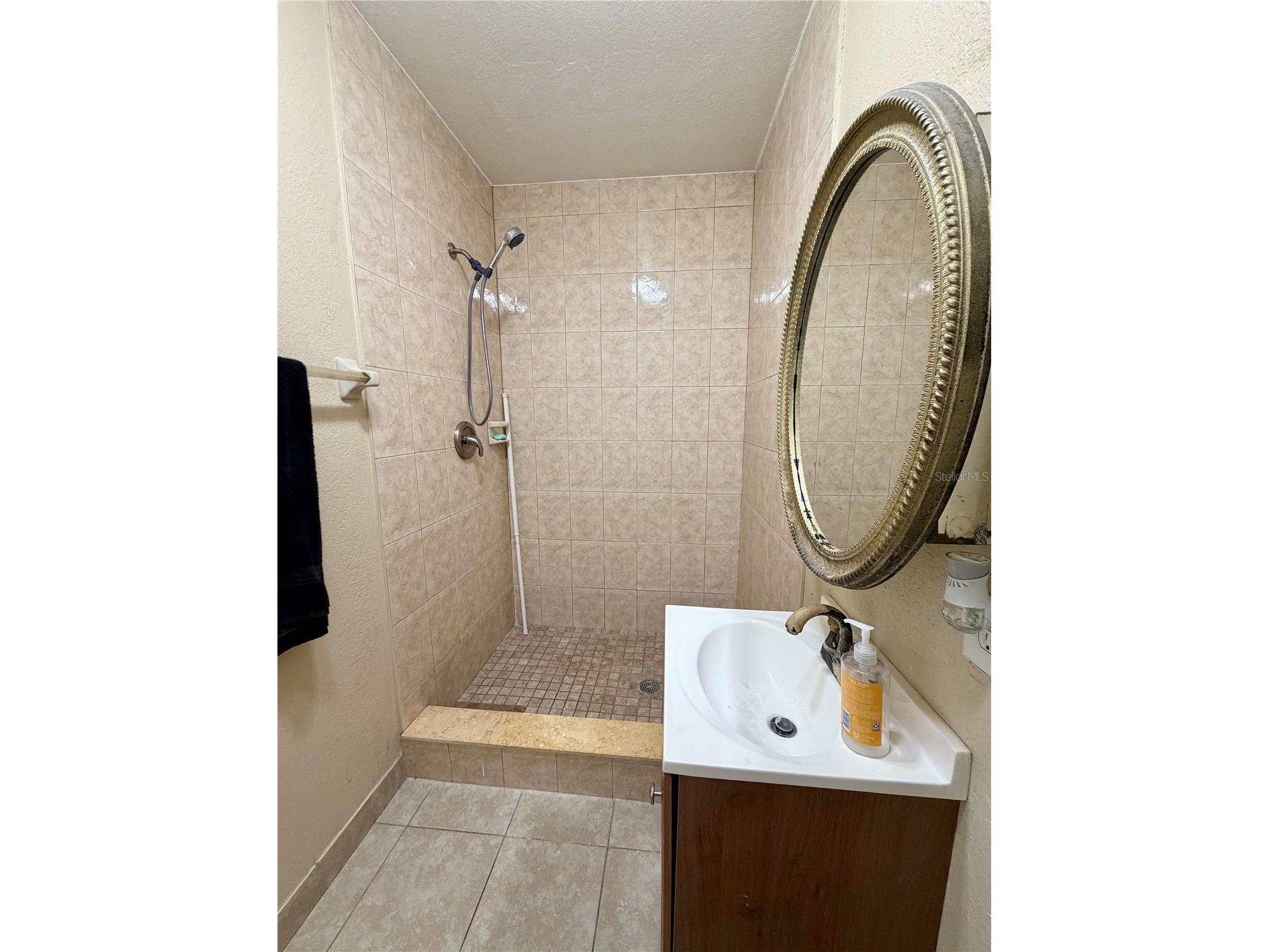 8026 Jackson Springs Road Tampa FL 33615 TB8472874 image33