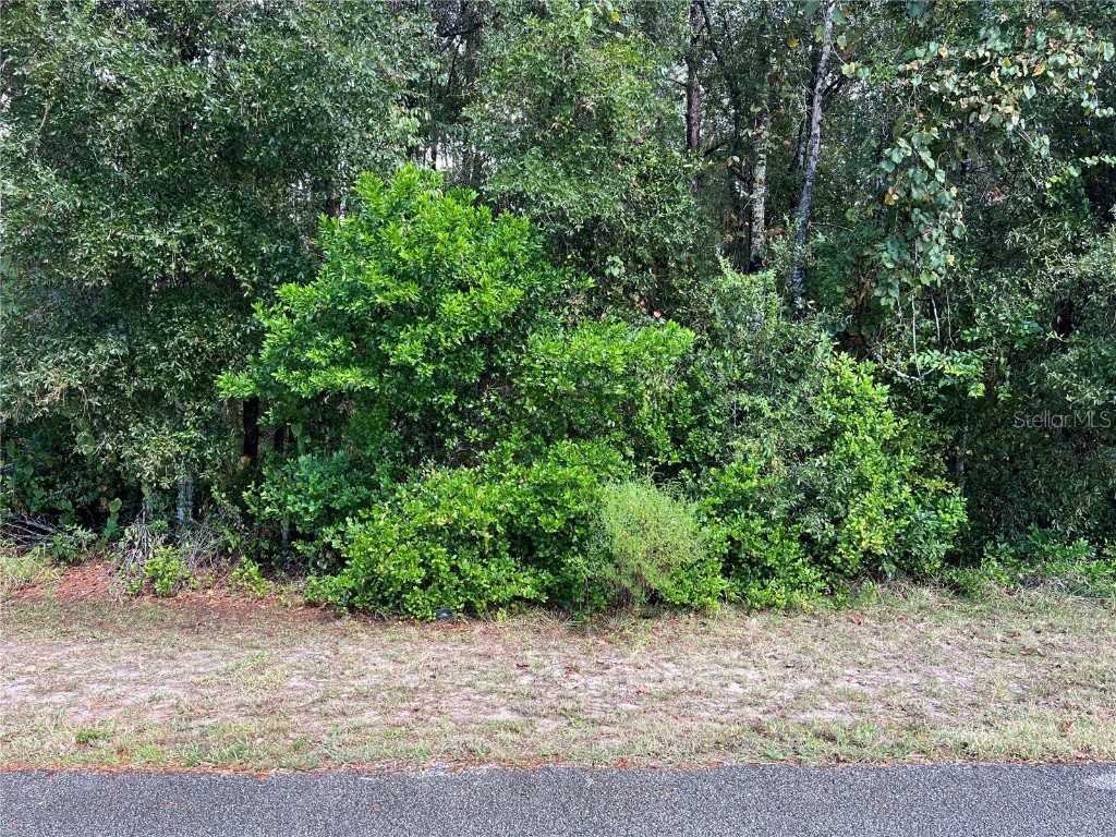 8026 Simmons Street Brooksville FL 34613 TB8431676 image1