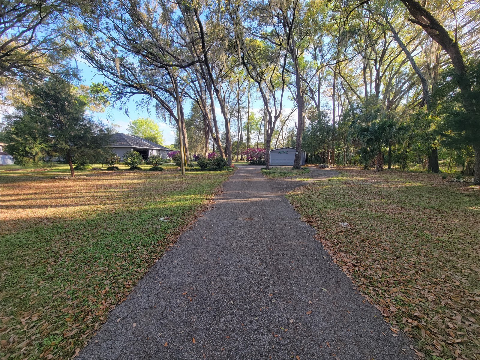 8028 SE 129th Place Summerfield FL 34491 G5111878 image10