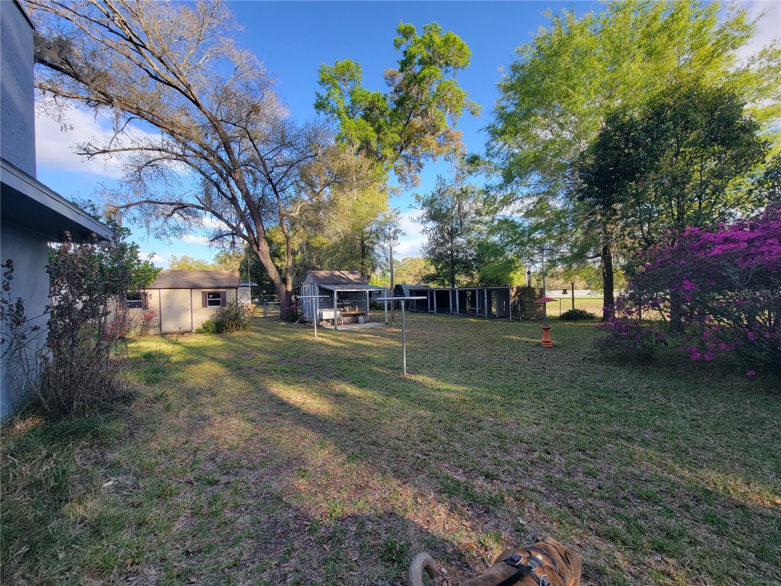8028 SE 129th Place Summerfield FL 34491 G5111878 image18