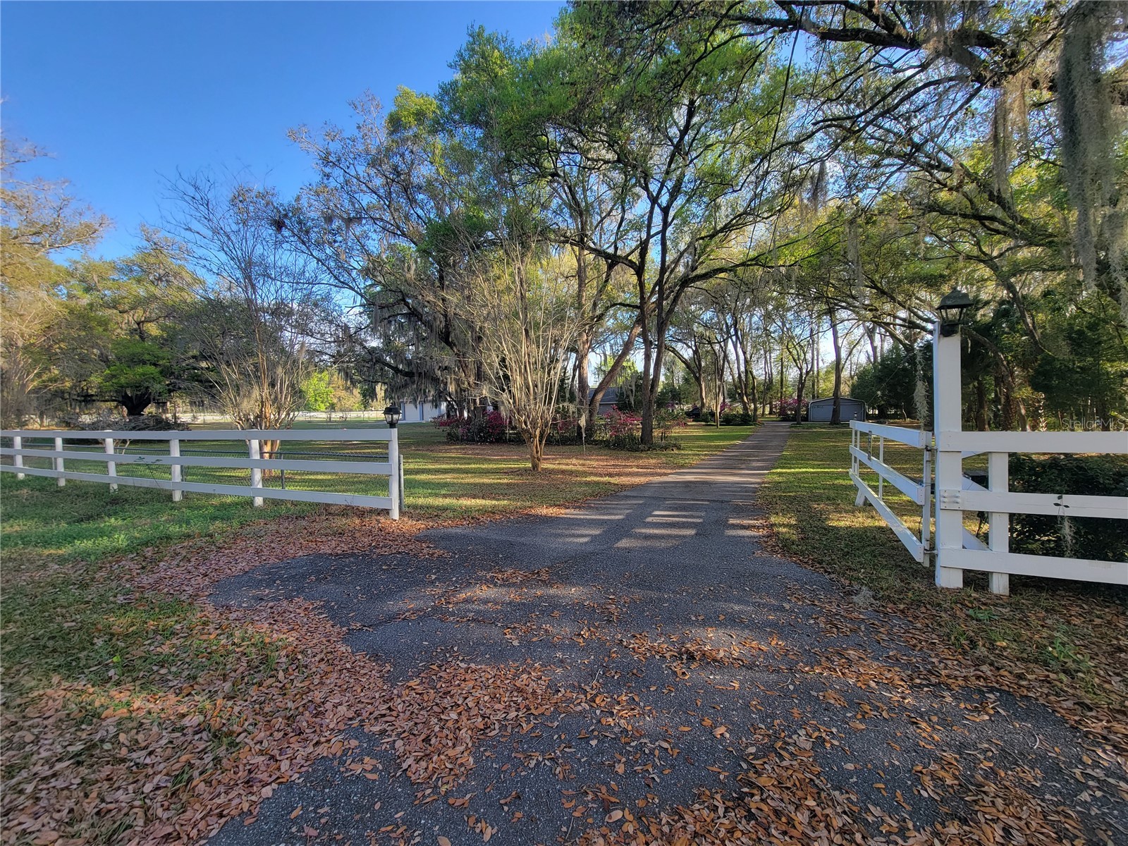 8028 SE 129th Place Summerfield FL 34491 G5111878 image7