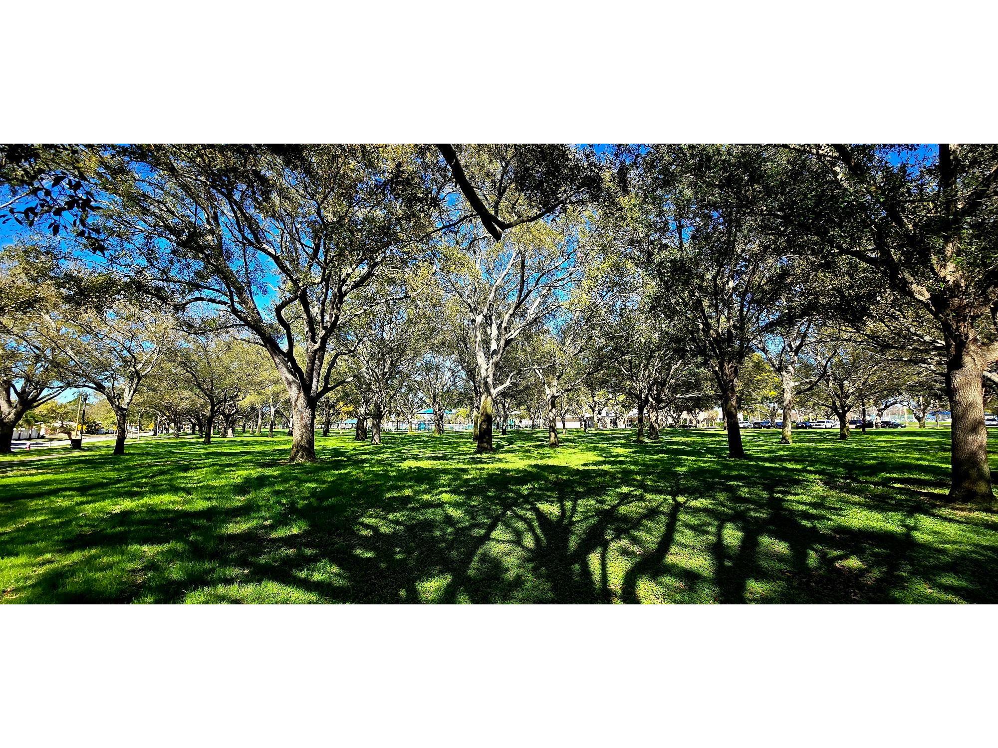 8029 22nd Avenue N Saint Petersburg FL 33710 TB8479891 image44