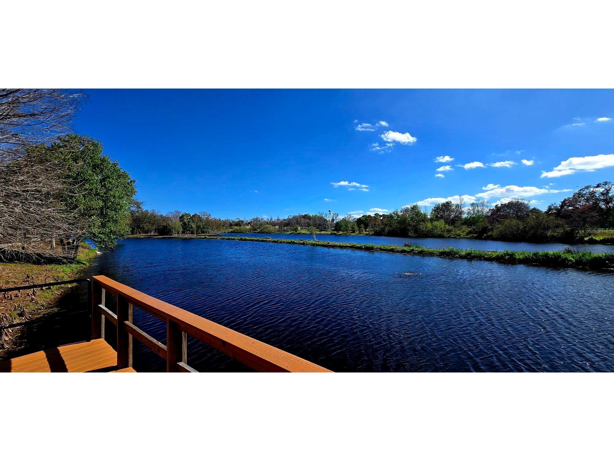 8029 22nd Avenue N Saint Petersburg FL 33710 TB8479891 image46