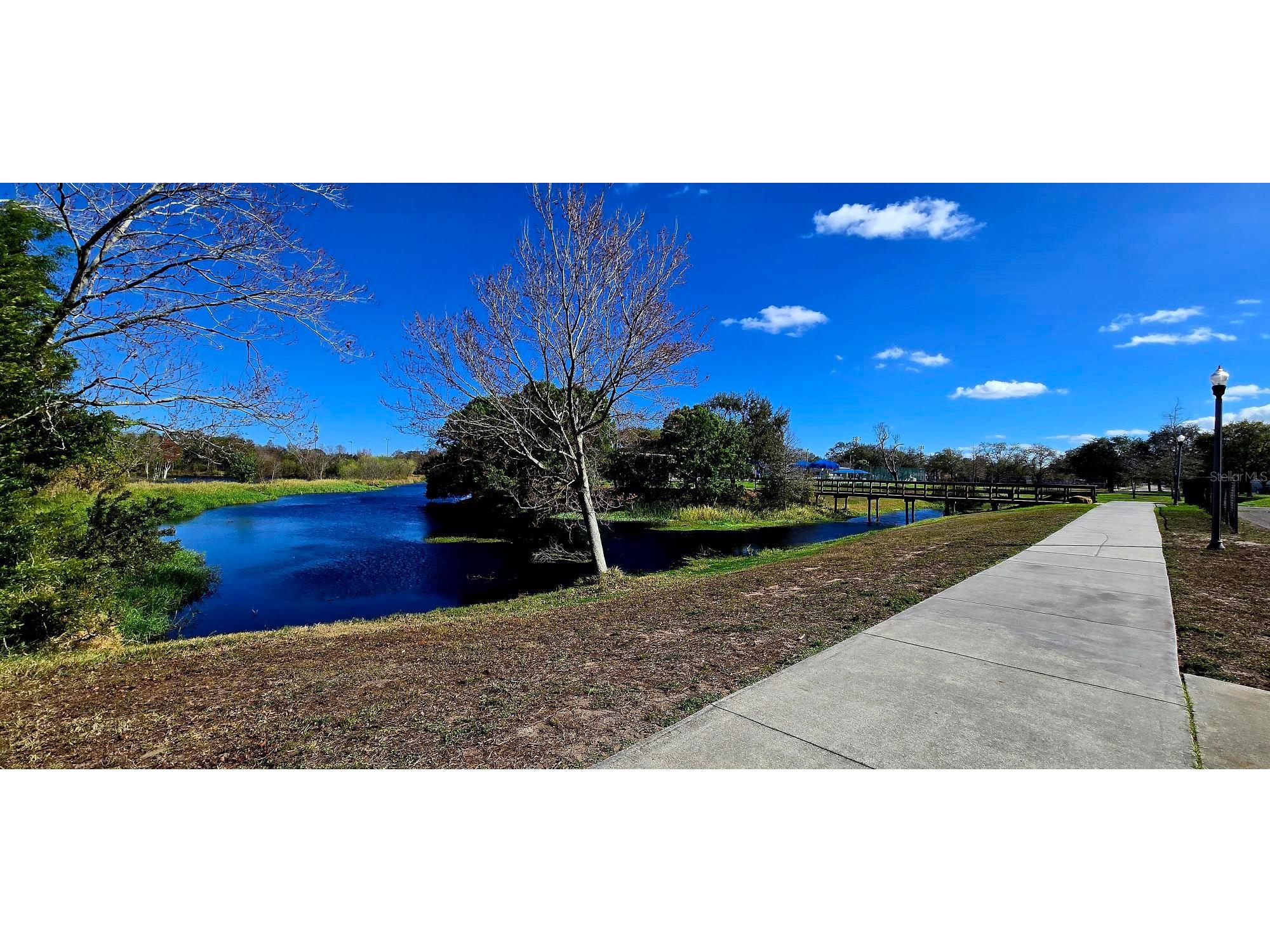8029 22nd Avenue N Saint Petersburg FL 33710 TB8479891 image47