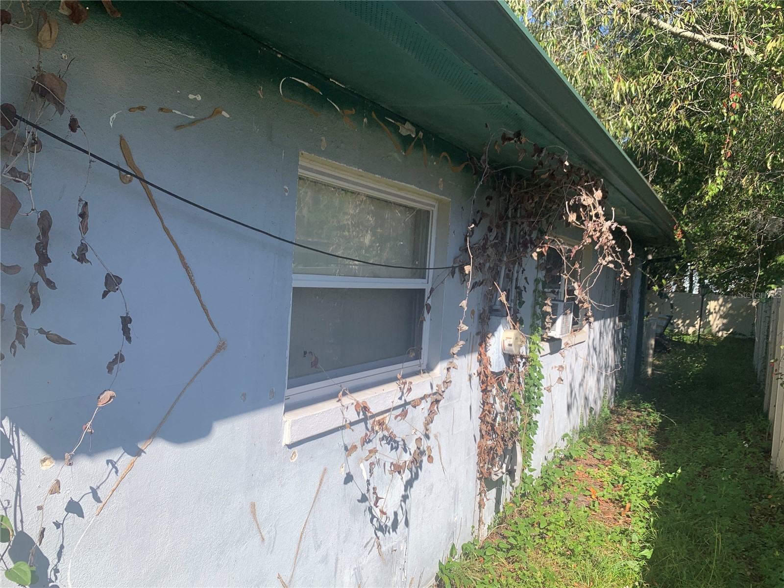 8029 Chateau Drive S Jacksonville FL 32221 TB8456971 image13
