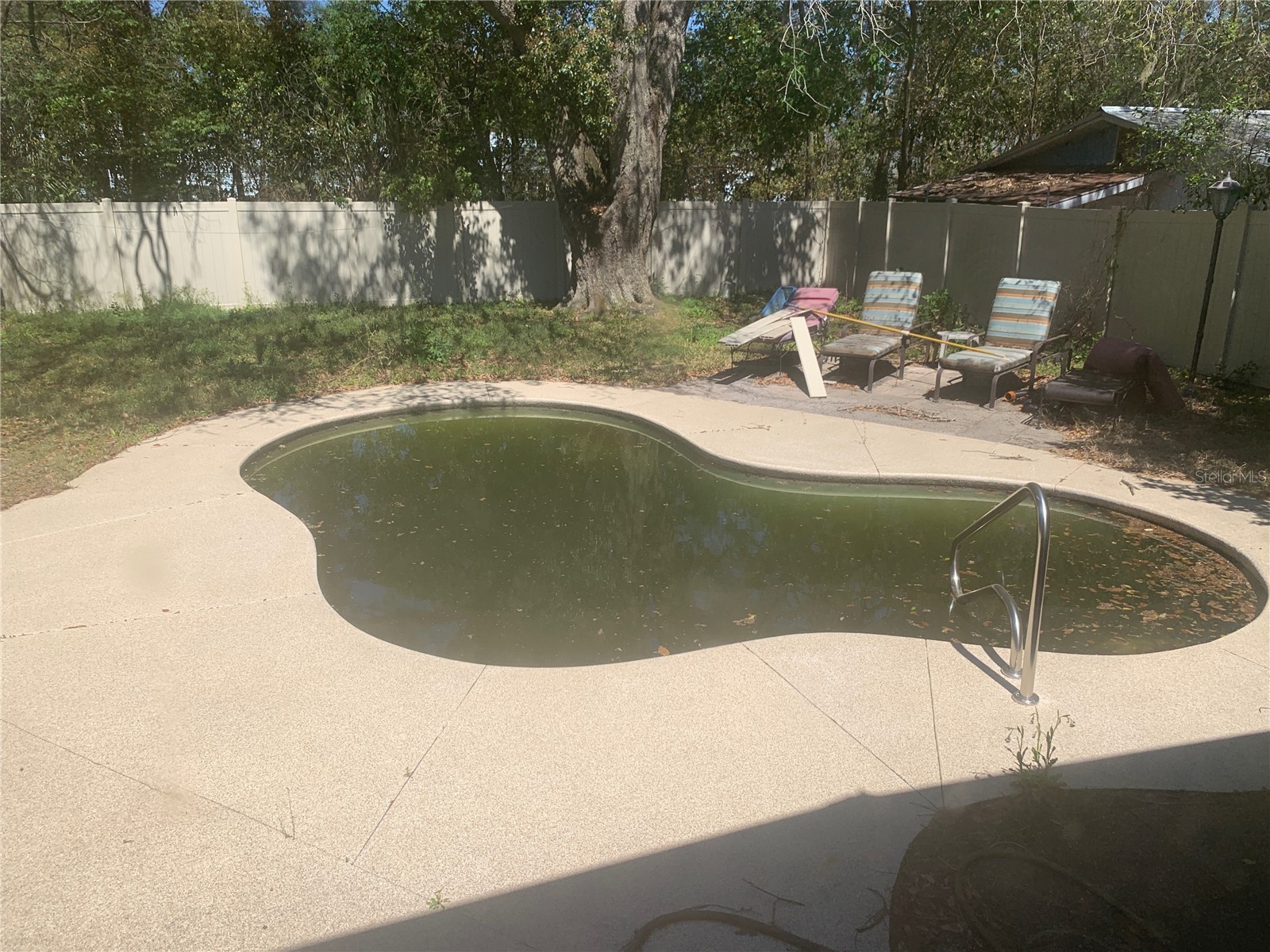 8029 Chateau Drive S Jacksonville FL 32221 TB8456971 image14