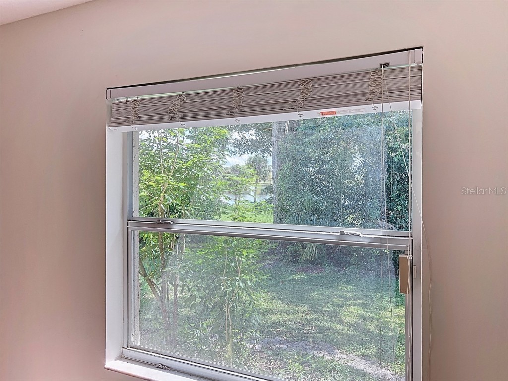 8029 Gillette Court Orlando FL 32836 S5134963 image26