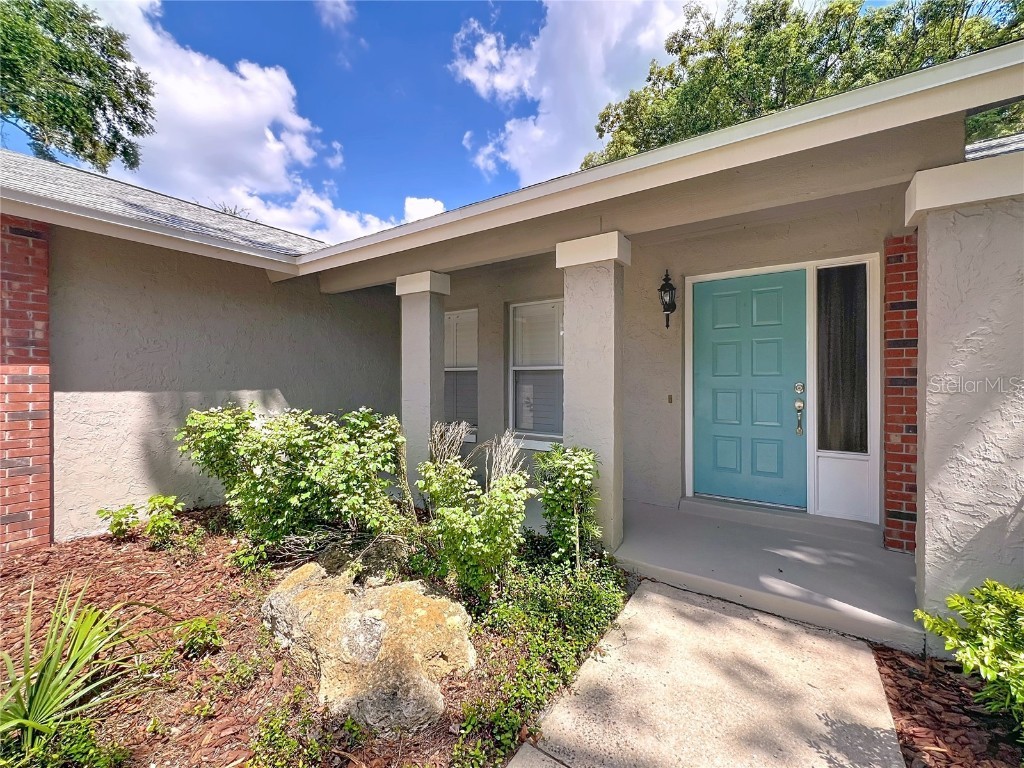 8029 Gillette Court Orlando FL 32836 S5134963 image41