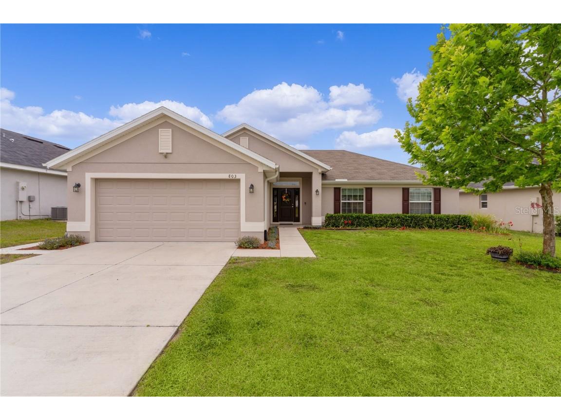 803 Chestnut Drive Fruitland Park FL 34731 G5080807 image1