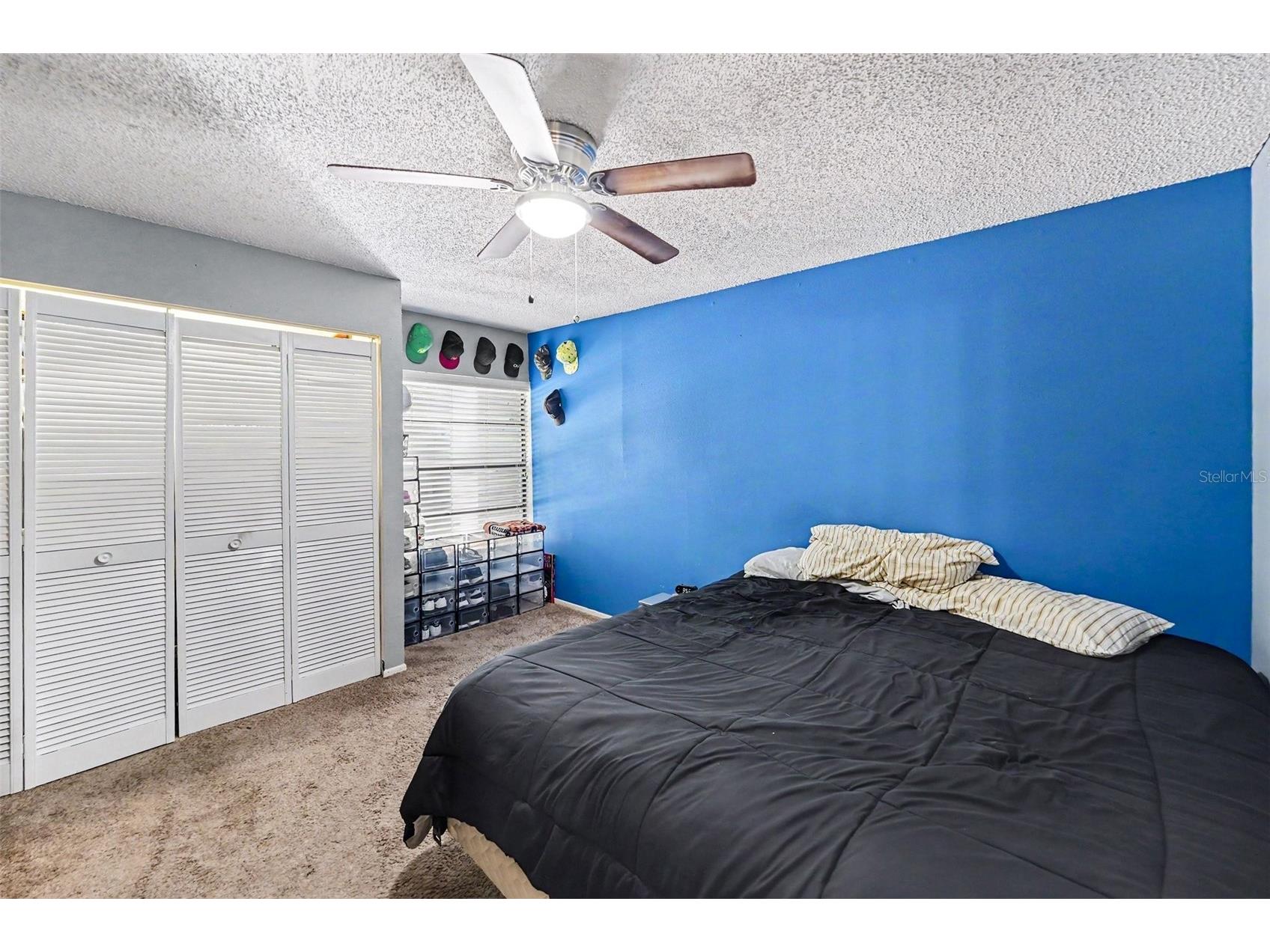803 Fairwood Lane Clearwater FL 33759 TB8524202 image12