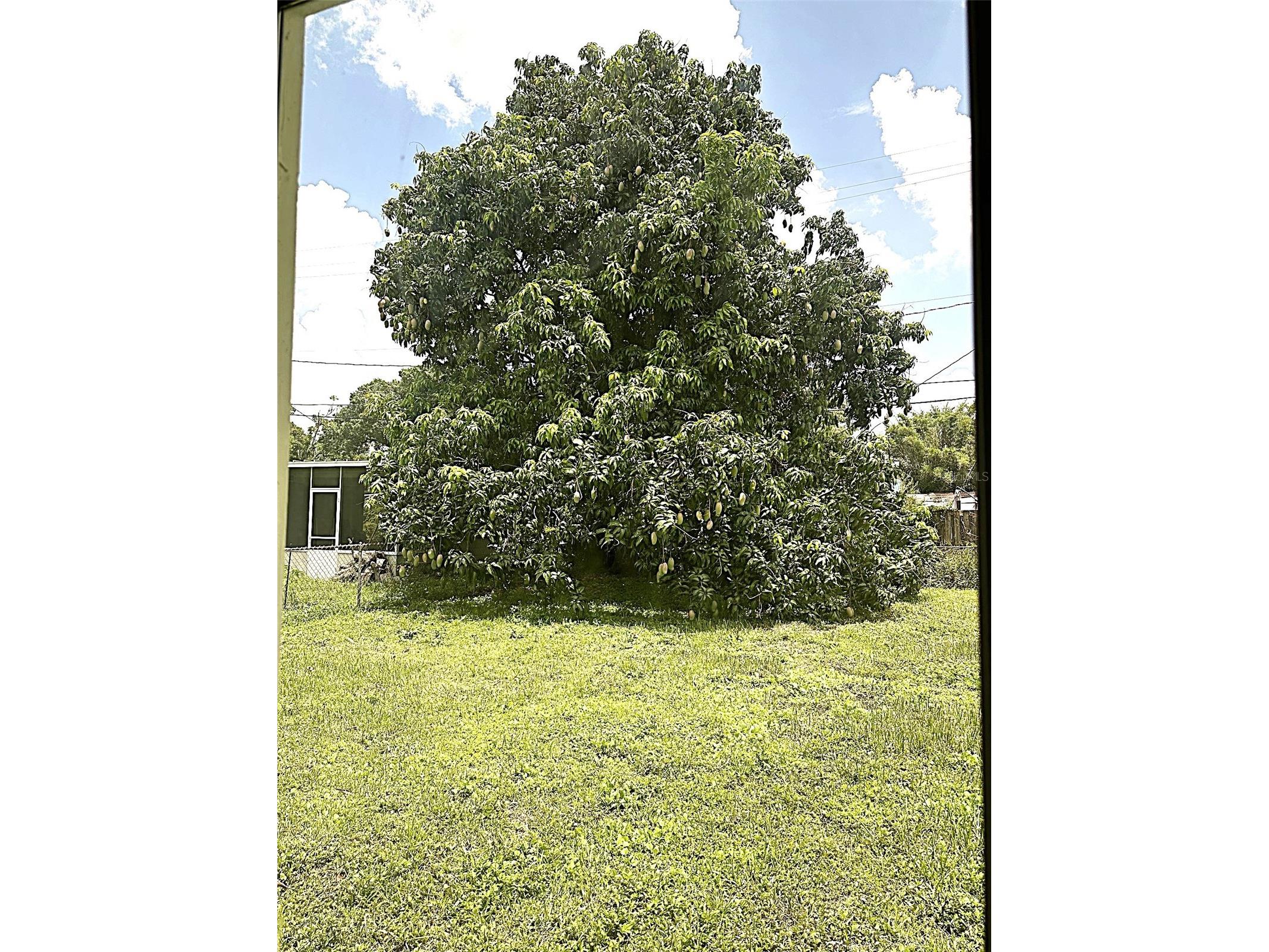 803 Haskell Avenue Orlando FL 32807 TB8505733 image19