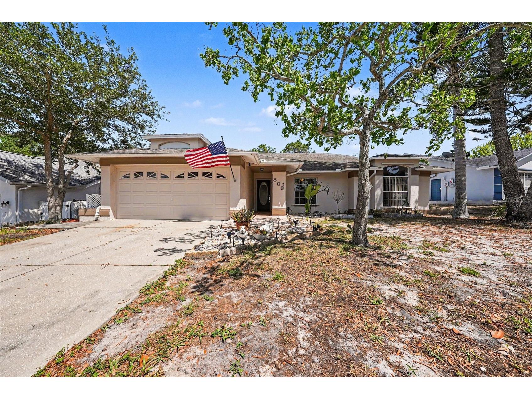 803 High Point Court Tarpon Springs FL 34689 TB8510644 image1
