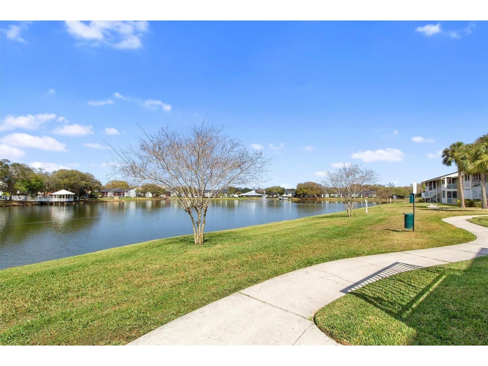 803 Lake Haven Square #101 Brandon FL 33511 TB8498069 image20