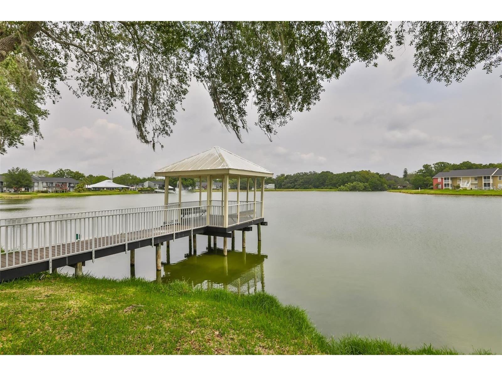 803 Lake Haven Square #101 Brandon FL 33511 TB8498069 image21