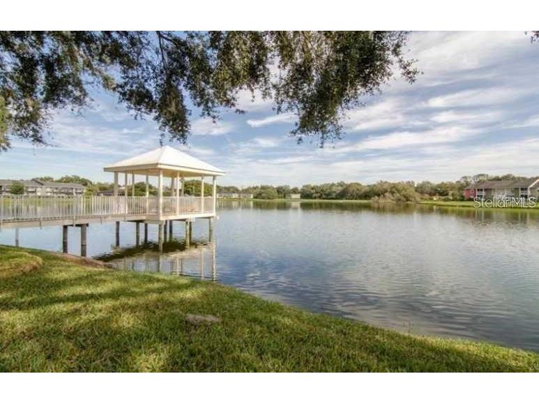803 Lake Haven Square #202 Brandon FL 33511 TB8472401 image3