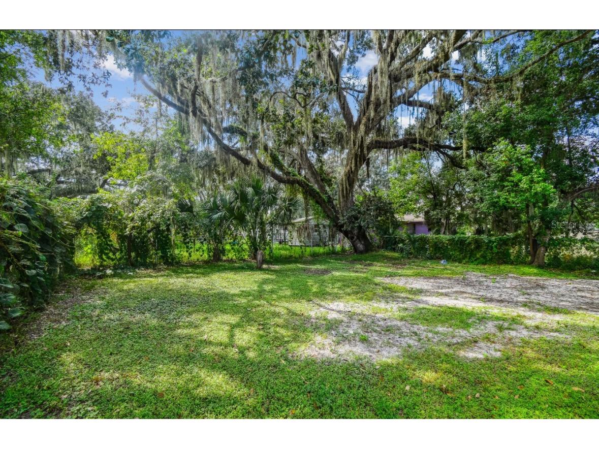 803 W Warren Street Plant City FL 33563 TB8430024 image25